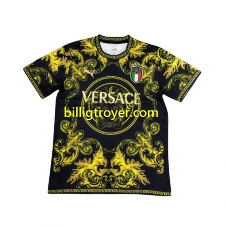 Billige Fotballdrakter Italia Special 2024 Kortermet